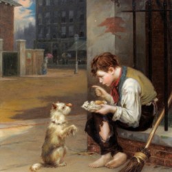 Training a small dog